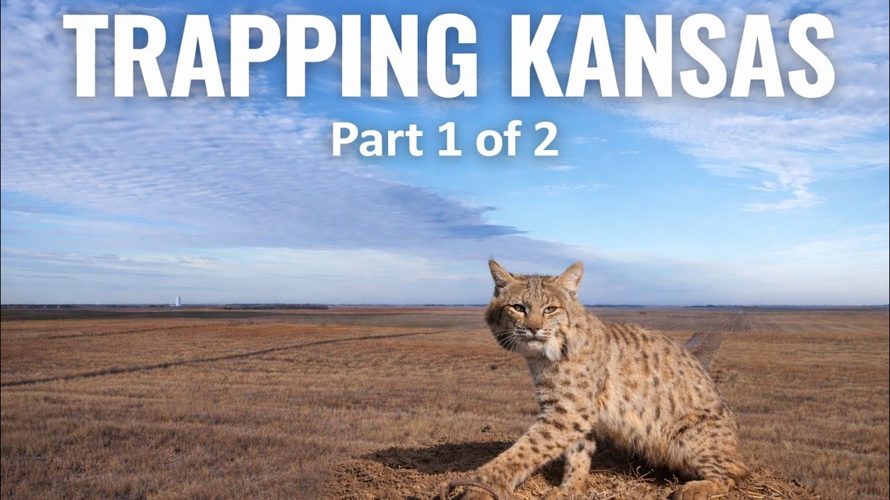 Trapping KANSAS Part 1 of 2 | VLOG