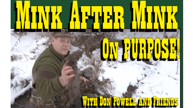 Trailer - Mink After Mink On Purpose