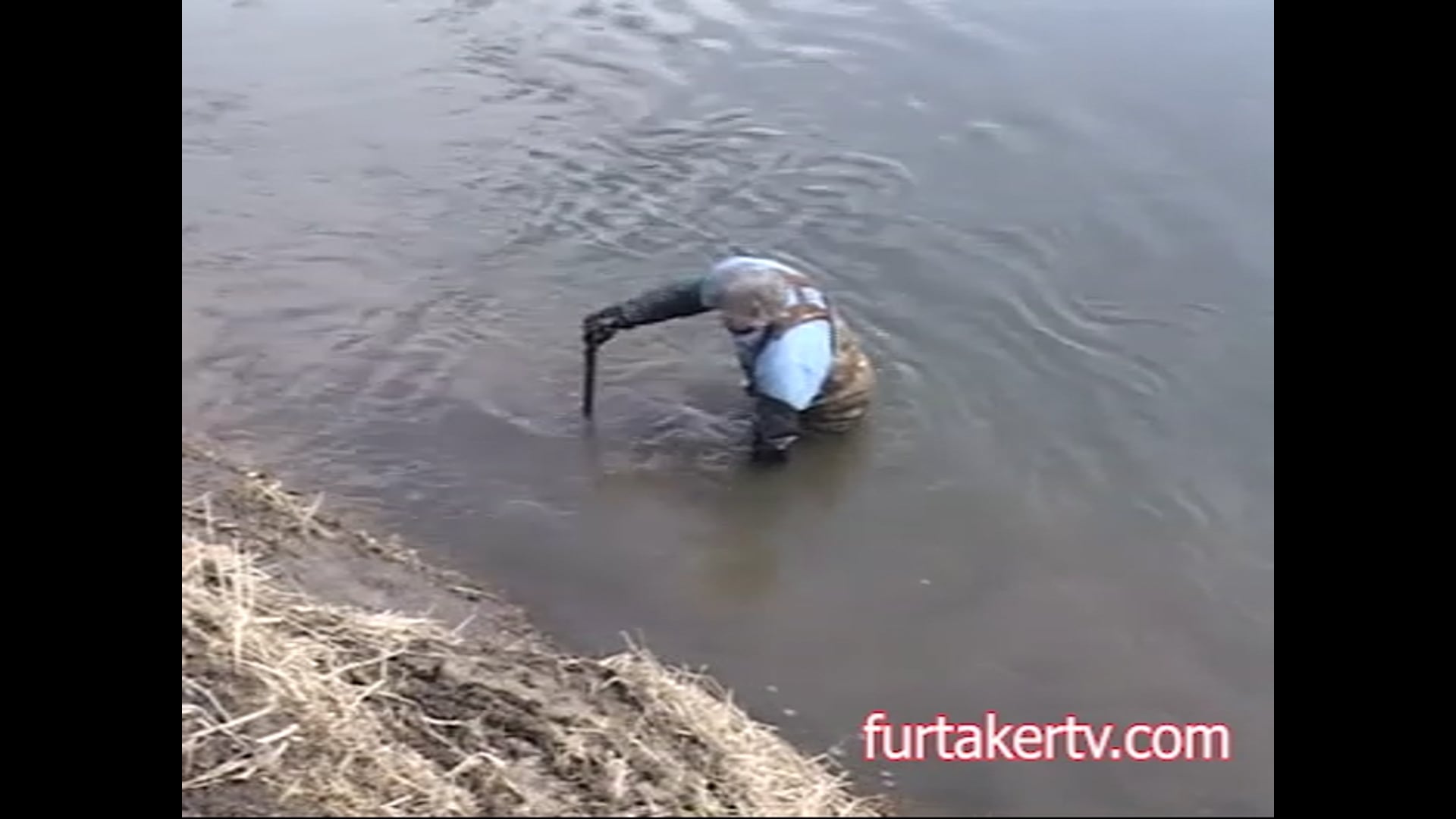 Hauser, front foot beaver,  Fulltime Beaver Trapping_with Ron Hauser