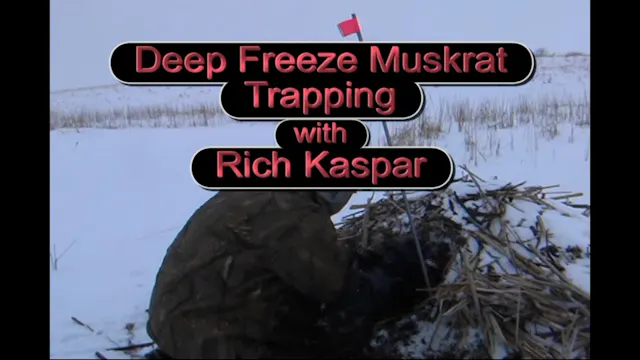 Deep Freeze muskrat trapping with Ric...
