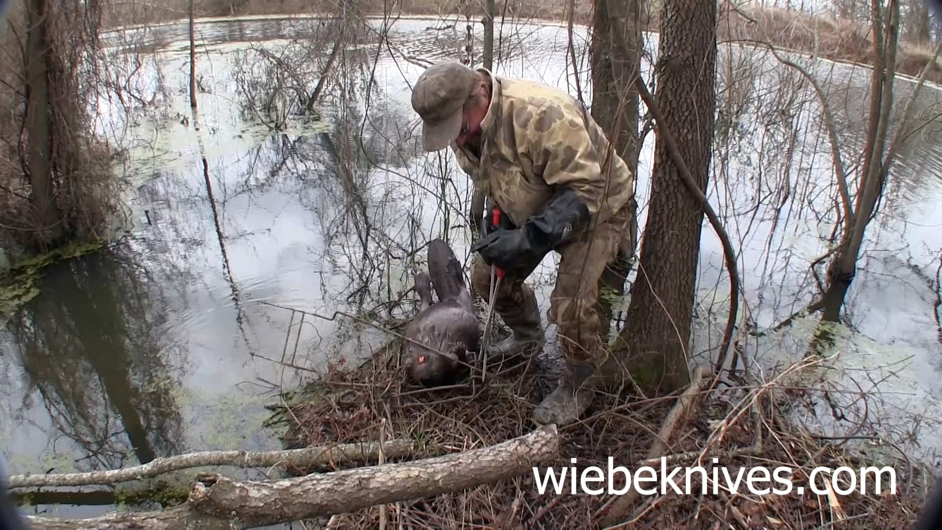 Red O'Hearn Catches a double on Beaver