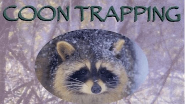 Trailer ~ Coon Trapping - The Untold Story - By Red O'Hearn