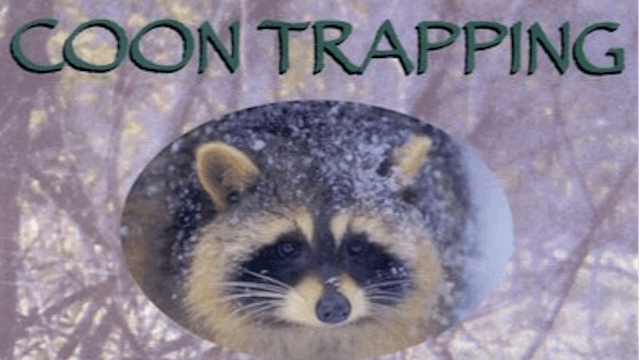 Trailer ~ Coon Trapping - The Untold ...