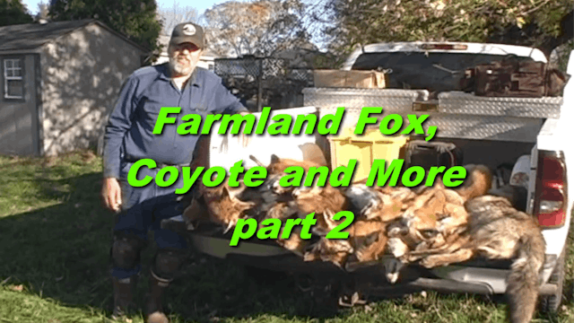 Trailer - Farmland Fox Coyote and More part 2
