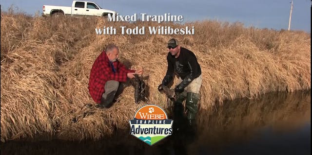 A Mixed Bag Trapline with Todd Wilibeski
