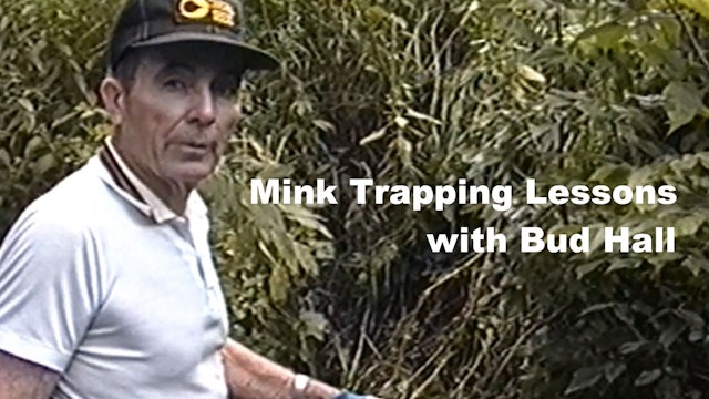 Mink Trapping Lessons with Bud Hall