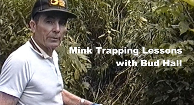 Mink Trapping Lessons with Bud Hall