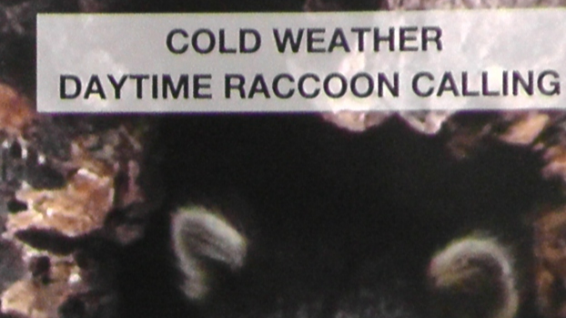 Trailer ~ Cold Weather Daytime Raccoon Calling with David & Mike Sells