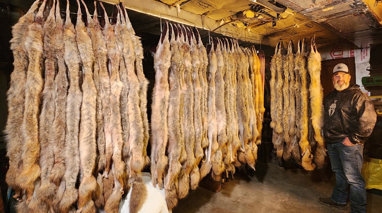 4 SETS GUARANTEED TO CATCH COYOTES! Jinx Top 4 Coyote Trapping Sets 2022-23 