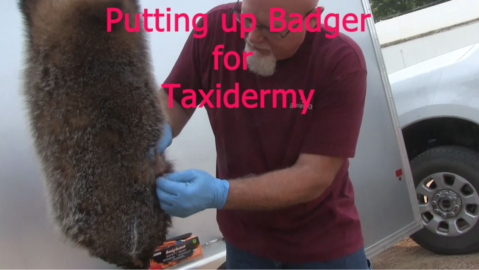 Trailer-Processing Badger for the Taxidermy Market with Matt Burson