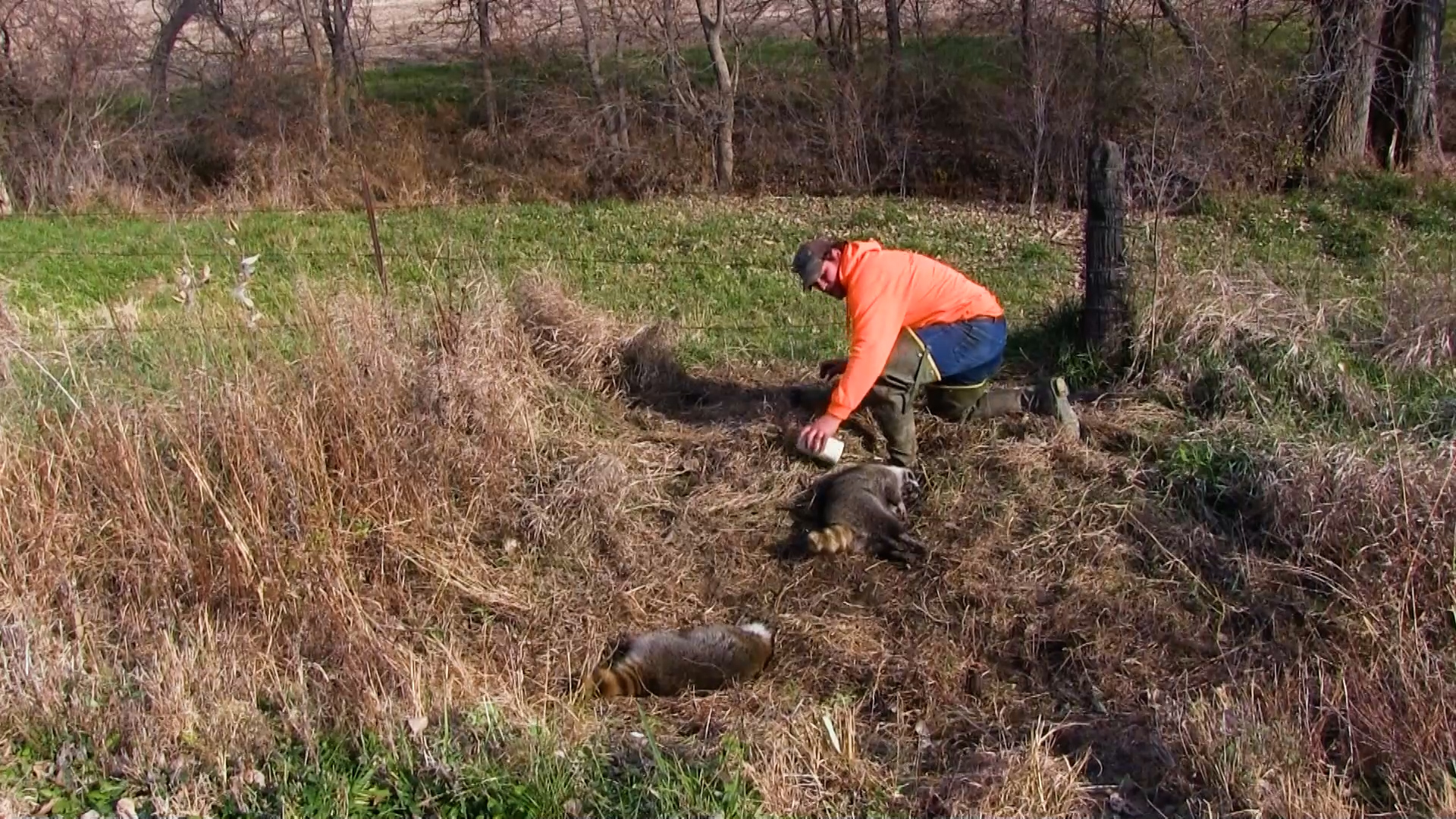 Wiebe Trapline Adventures S4/E8_Justin Deavor Raccoon in Iowa 2 of 2