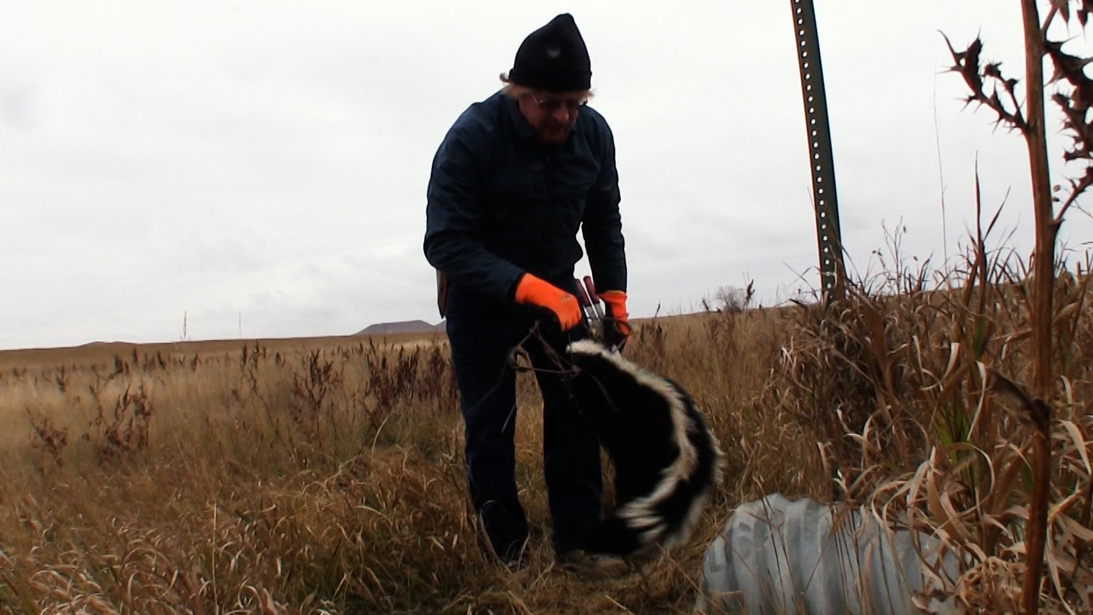 Wiebe Trapline Adventures S2/E7 - Mark Steck & Red O’Hearn skunk line 1 of 2
