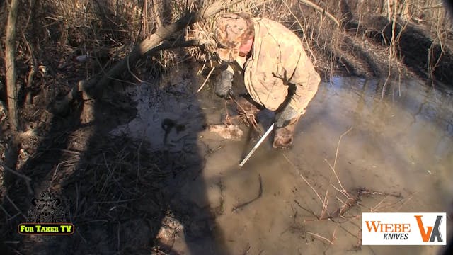 118 Red  O beaver and otter catch, no...