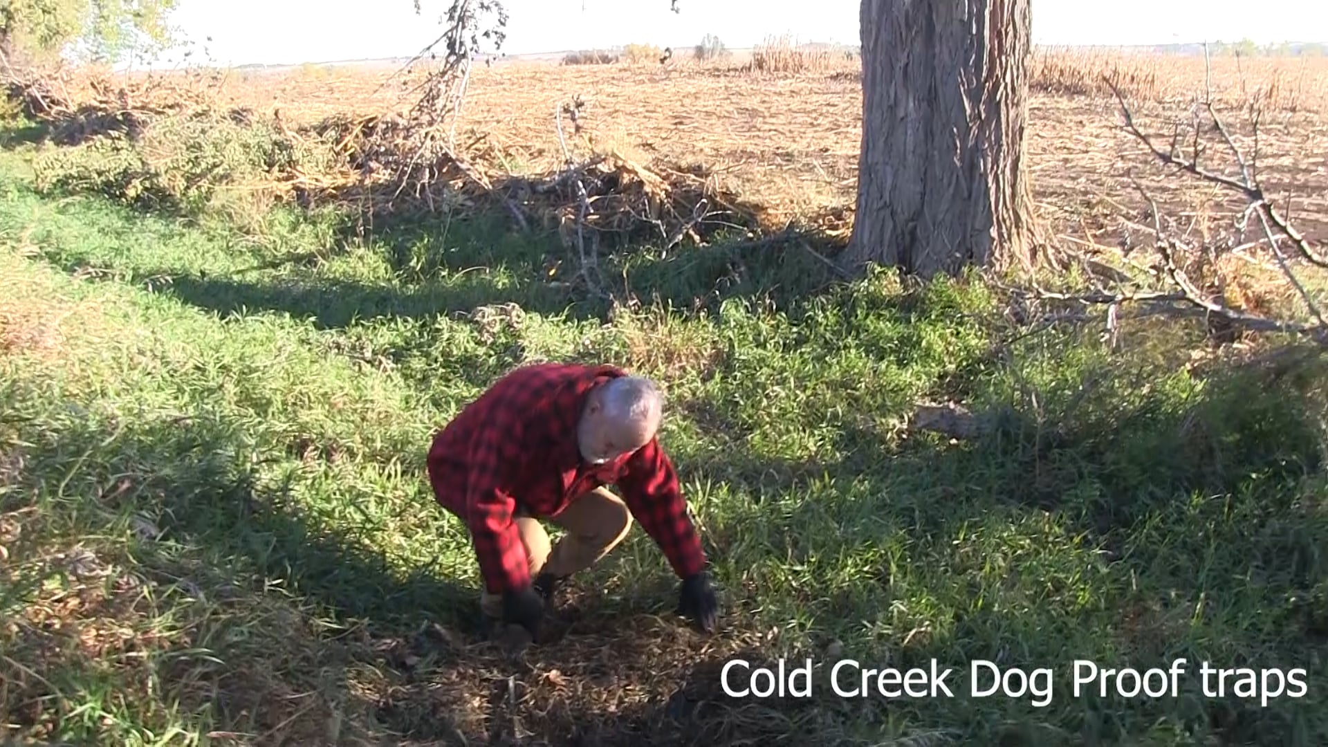 A Raccoon startles Red as he is attempting a dispatch in a culvert