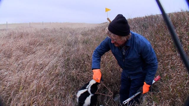 Teaser - WTA S2/E8 - Mark Steck & Red...