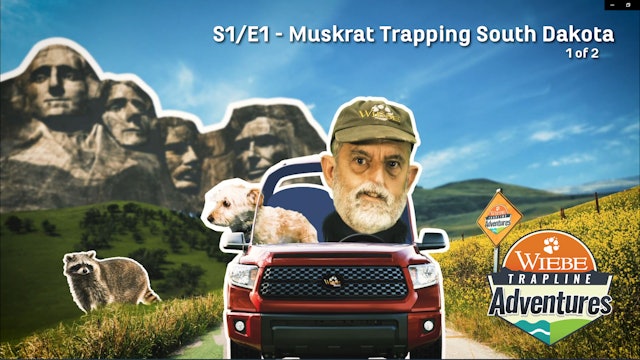 Wiebe Trapline Adventures S1/E1-Muskrat in SD-Trailer
