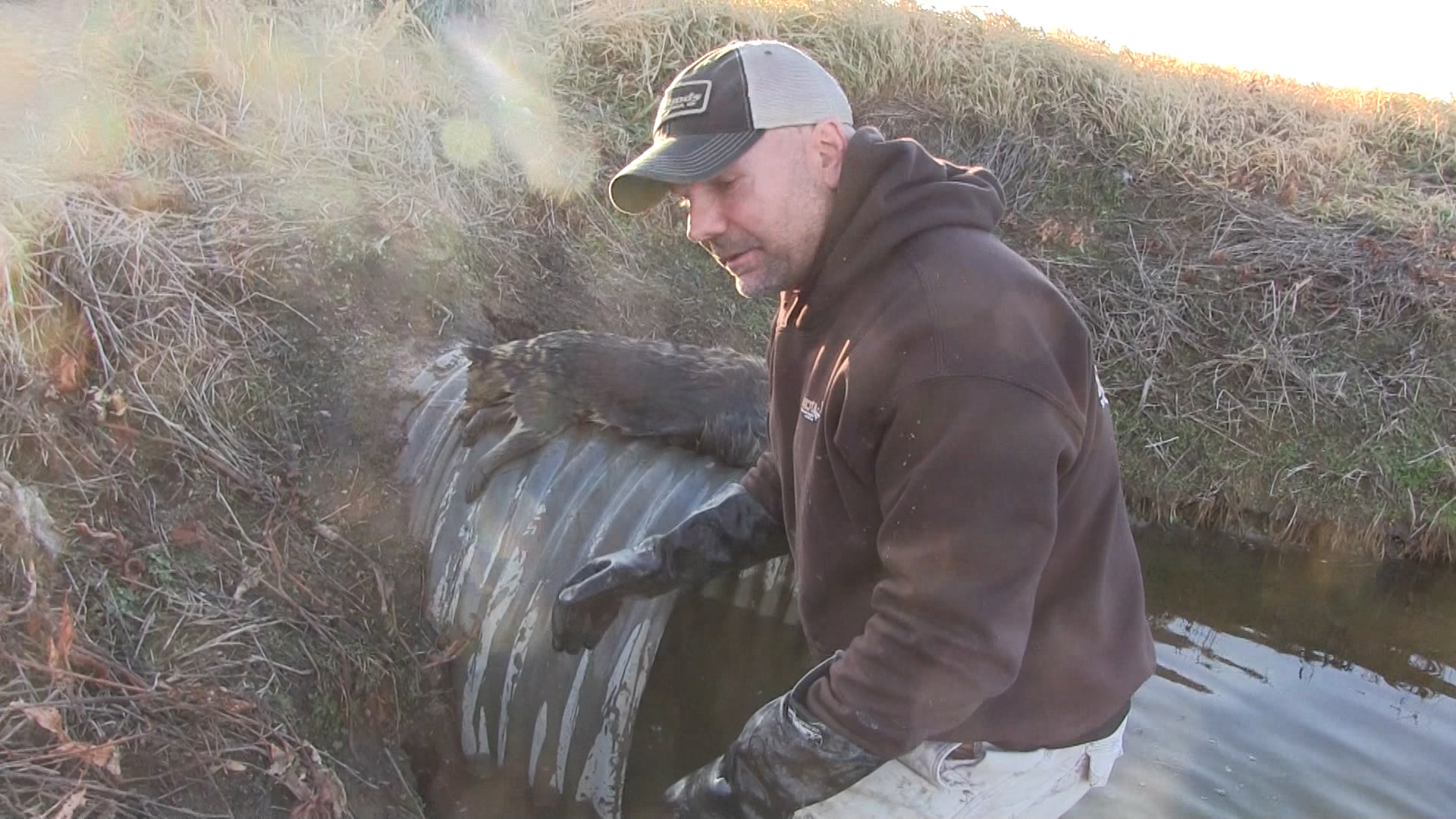 Wiebe Trapline Adventures S2/E11 - Todd Wilebski Mink