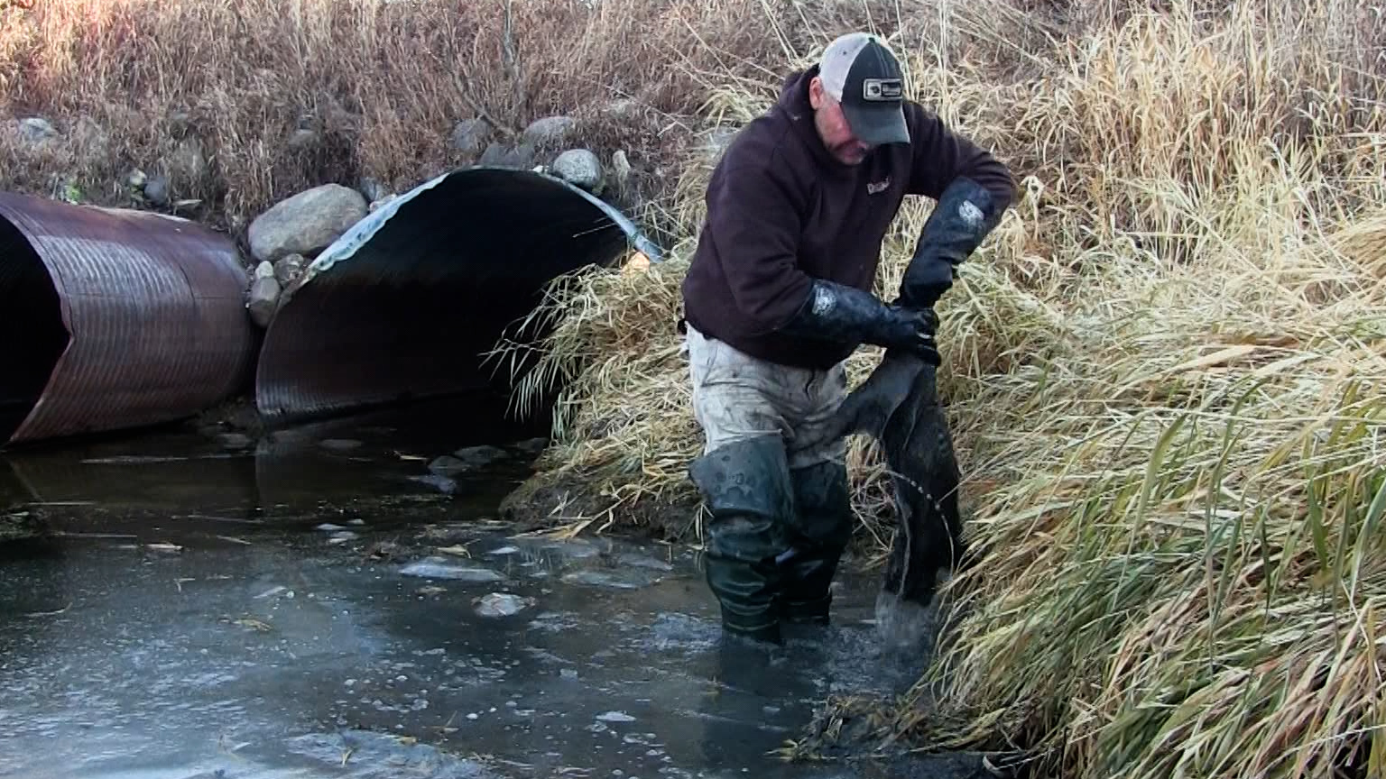 Teaser - Wiebe Trapline Adventures S2/E10 - Todd Wilebski Raccoon