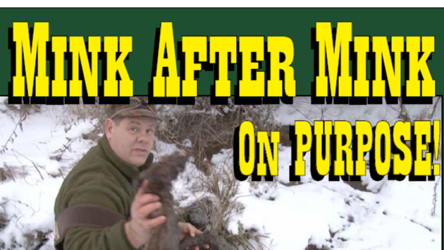Mink After Mink On Purpose - Part 2