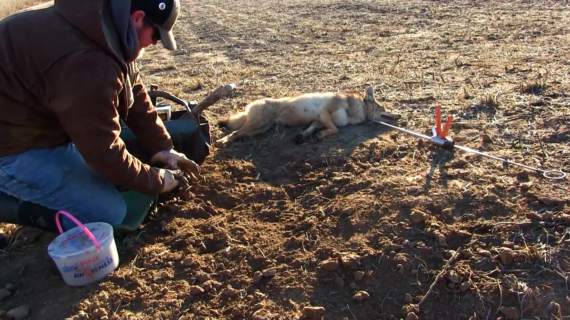 Wiebe Trapline Adventures S4/E12_Bursons MO Cats, Coyotes & Fox