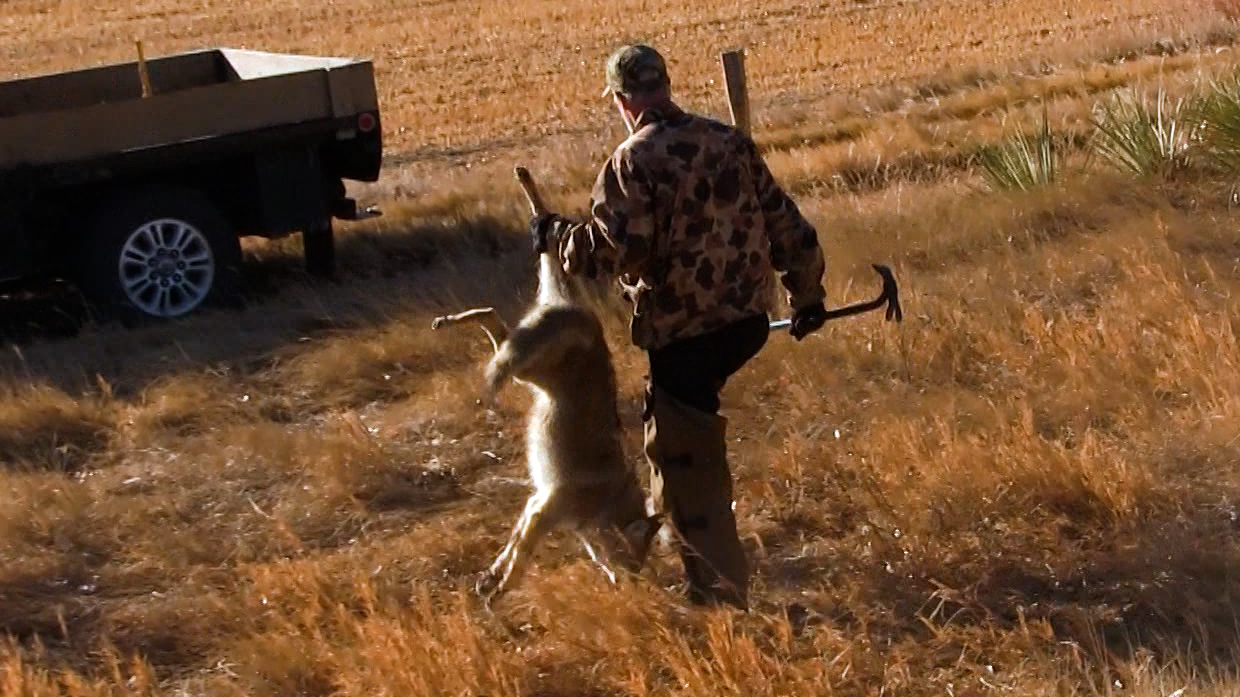 Teaser - Wiebe Trapline Adventures S2/E12 - Richard Johnson Coyote Line