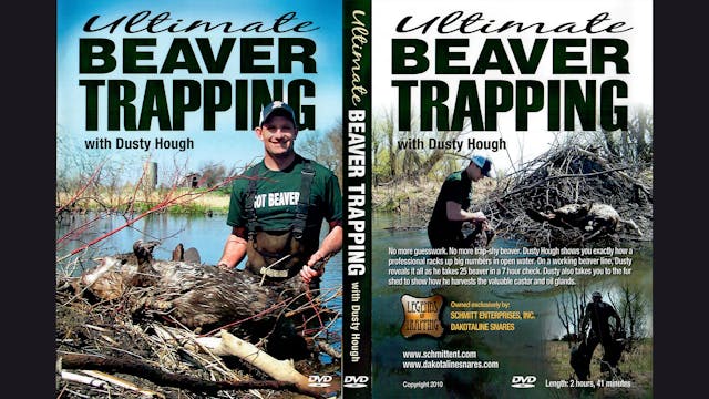 Ultimate Beaver Trapping with Dusty H...