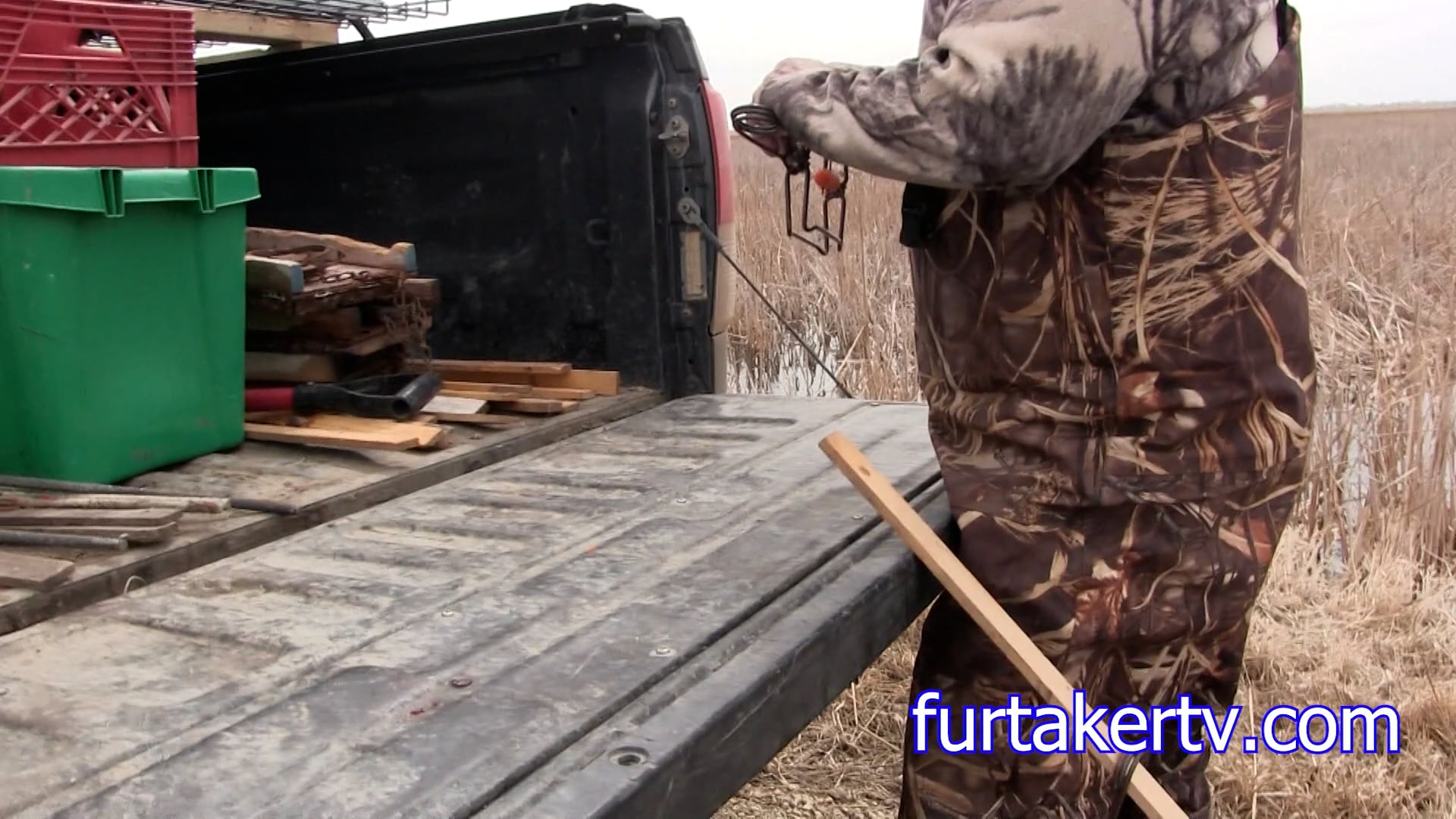 Catching Muskrats with Carrots and Conibears