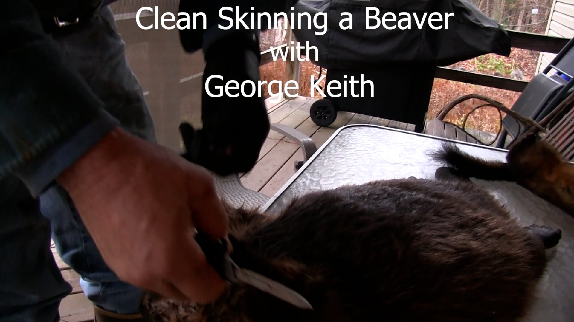Clean Skinning Beaver with George Keith