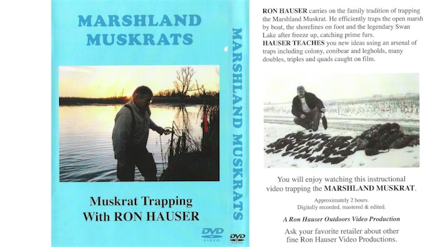 Marshland Muskrats Muskrat Trapping with Ron Hauser