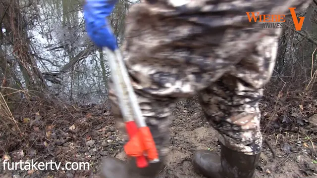 Beaver Catch on Duck Club property, D...