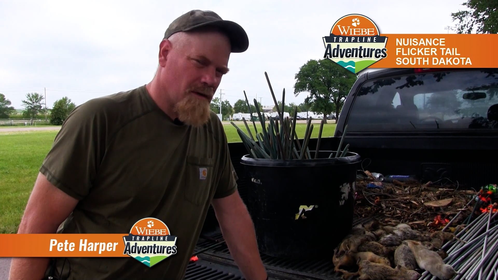 Wiebe Trapline Adventures S3/E10_Pete Flicker Tail