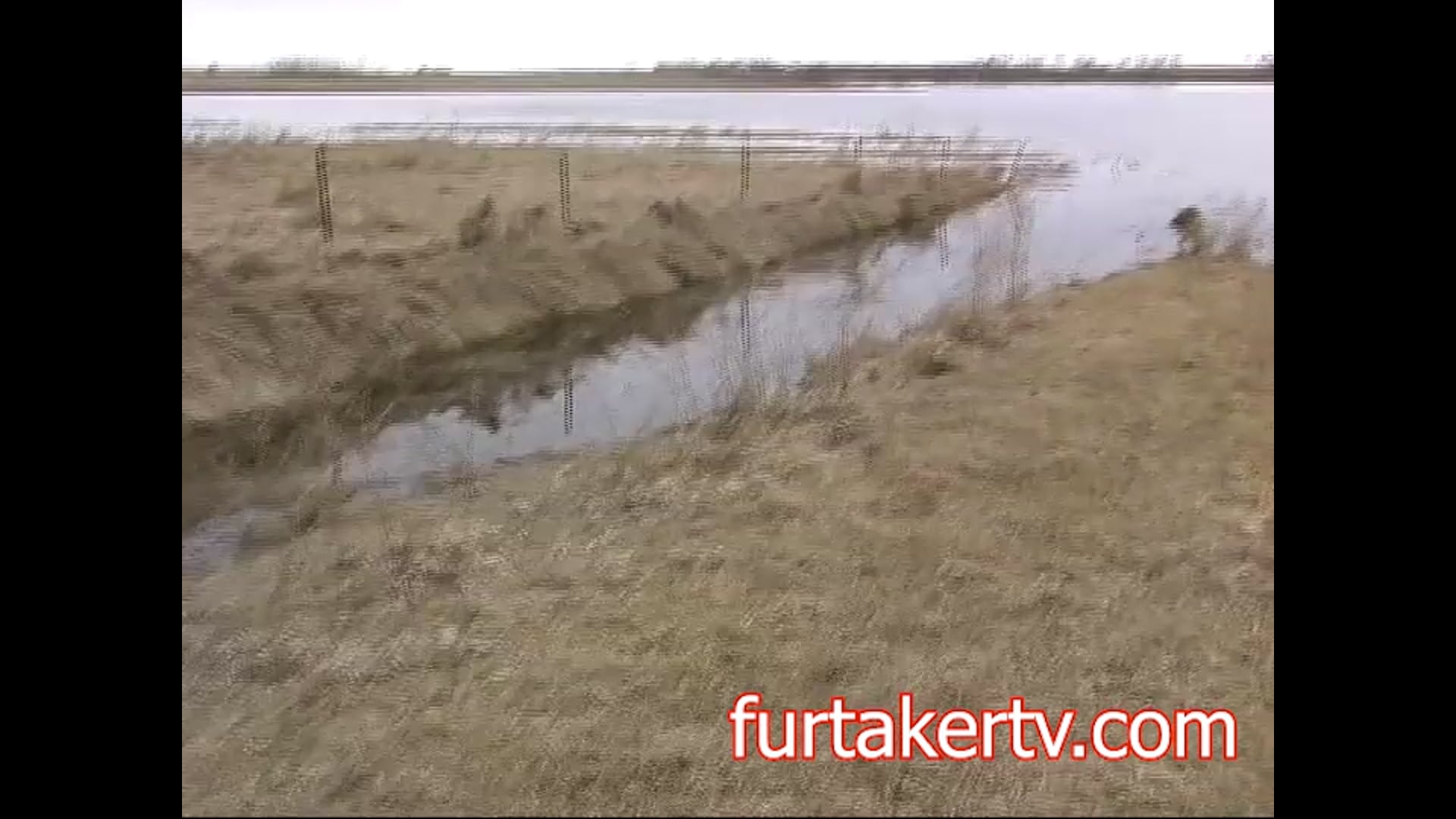 Muskrat Bank RichKaspar