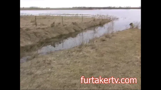 Muskrat Bank RichKaspar