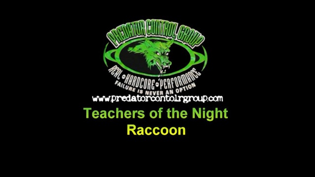 Teachers of the Night - Raccoon