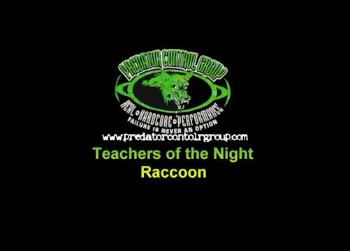 Teachers of the Night - Raccoon