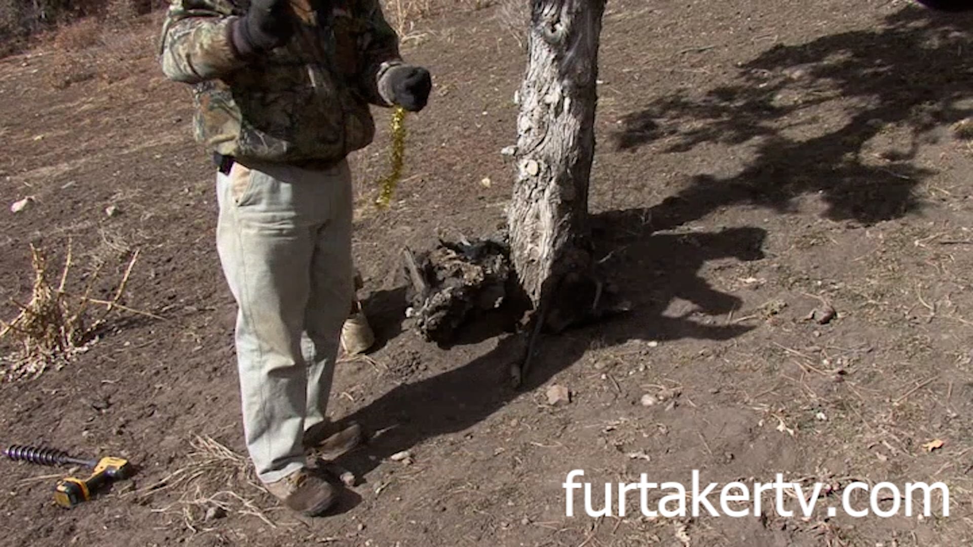 Ray Milligan Cat Trapping