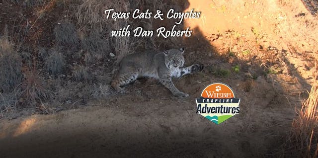 Trailer-Texas Cats & Coyotes with Dan...