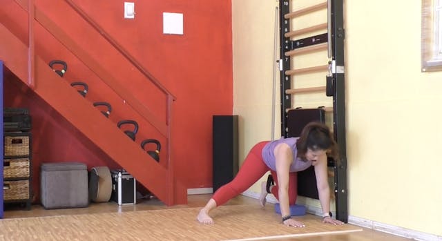 Kimberly Ladder 4 - Hip Mobility