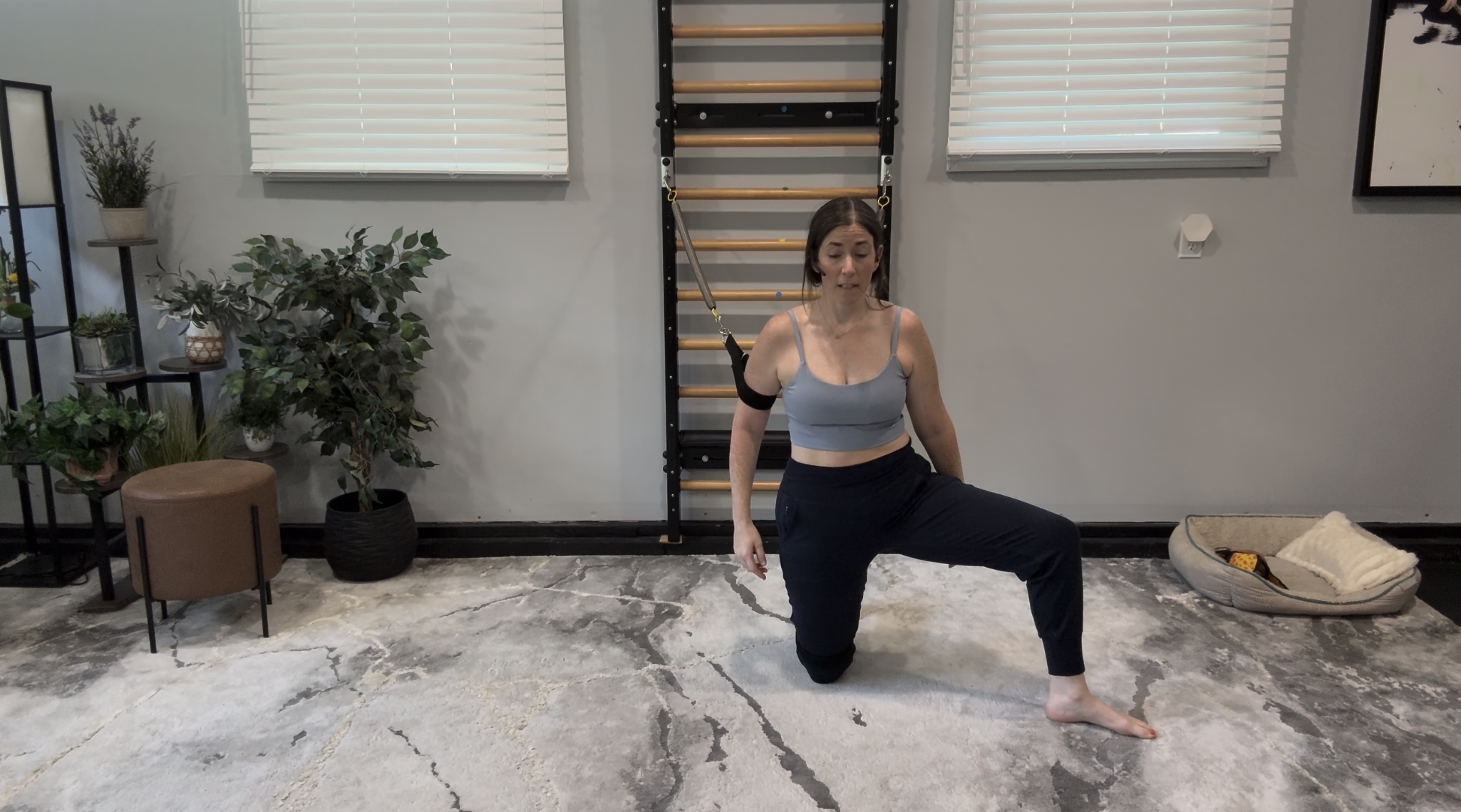 Meghann Ladder 19 - Full Body Flow