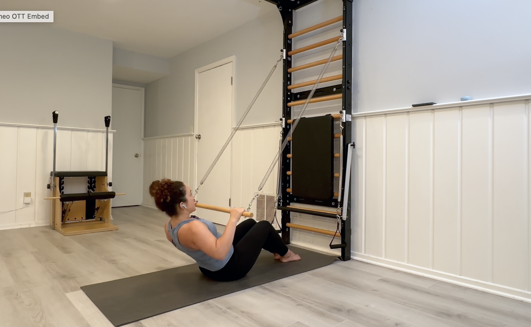 Rachel Ladder 8 - Arms & Abs