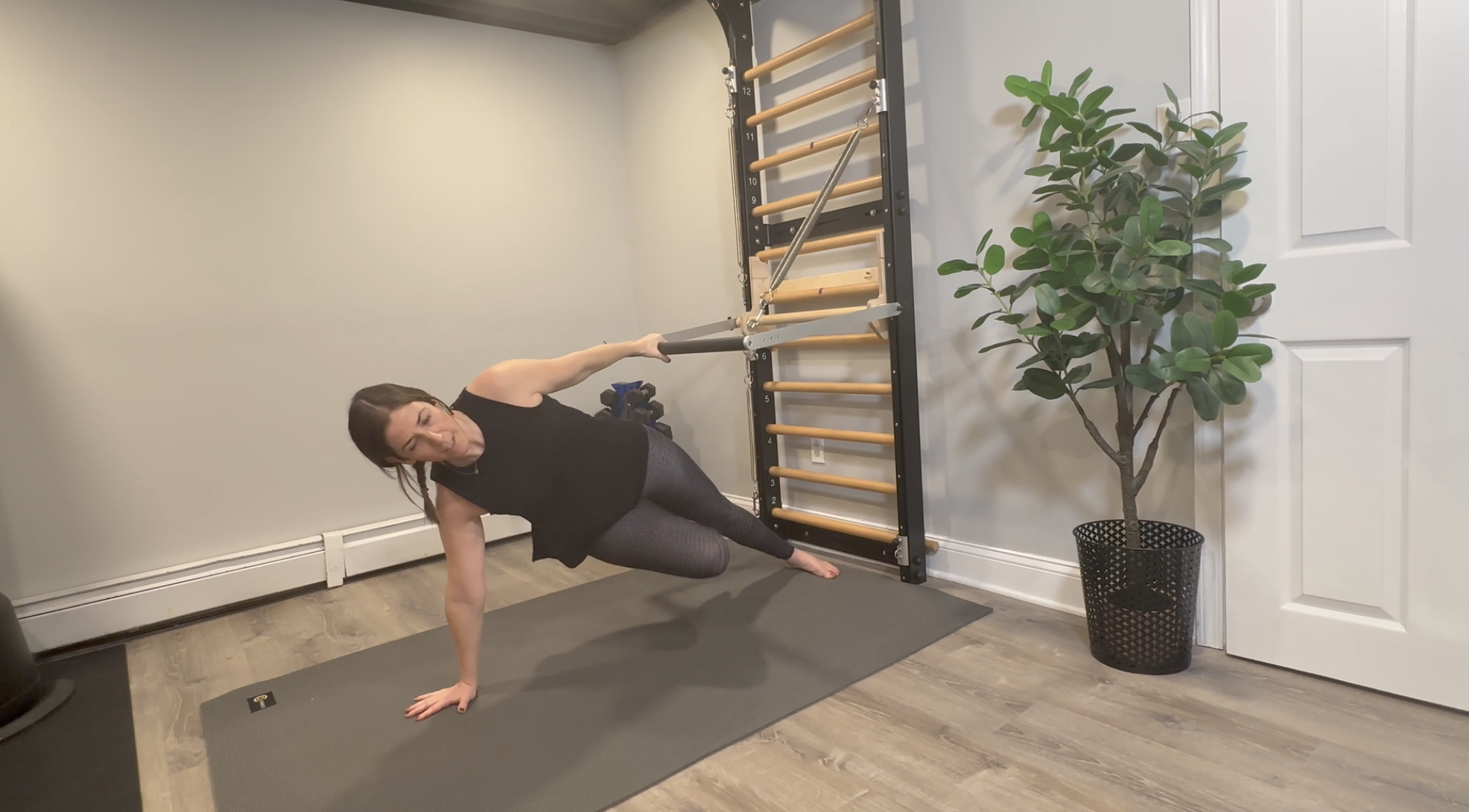 Meghann Ladder 10 - Push Through Bar Flow