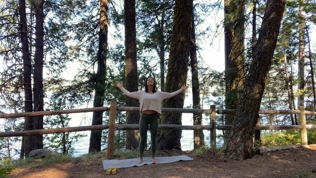 FWRD on the Road: 40-min barre in Mcc...