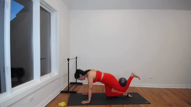 BARRE 300
