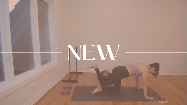 BARRE 277