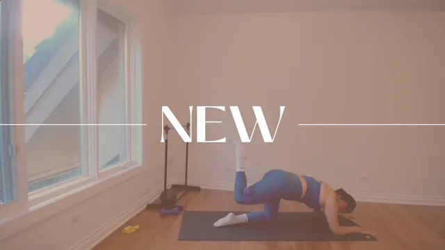 BARRE 305