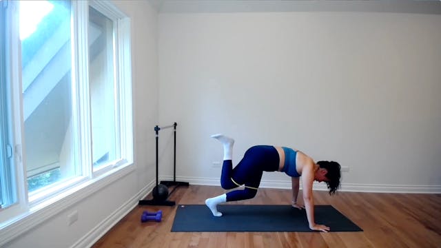 BARRE 275