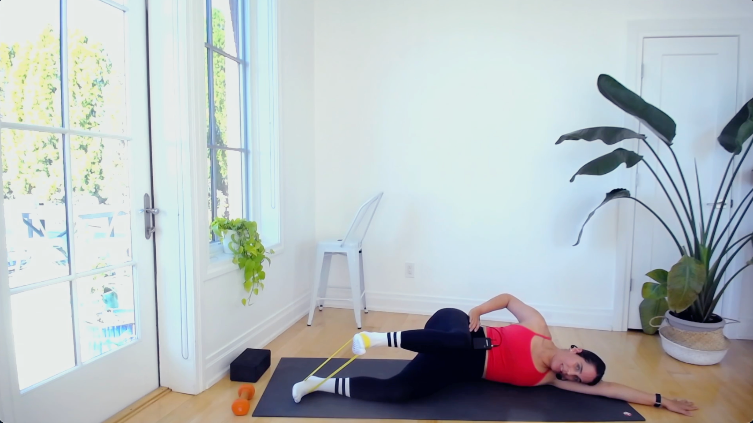 MOBILITY: HIP FLEXOR STRENGTH