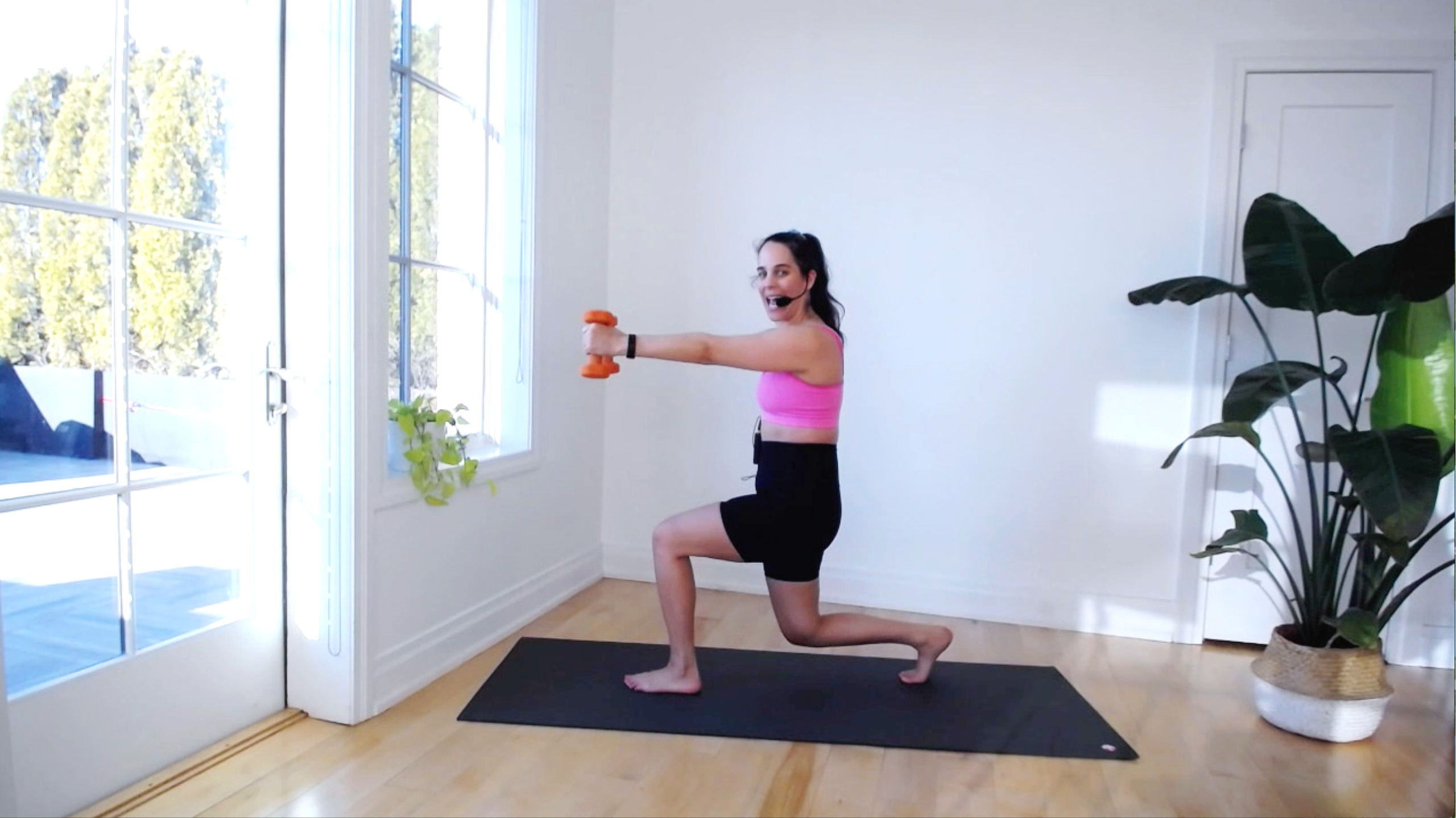 SCULPT EXPRESS 5: ARMS + ABS