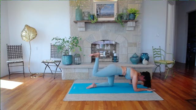GLUTES + OBLIQUES
