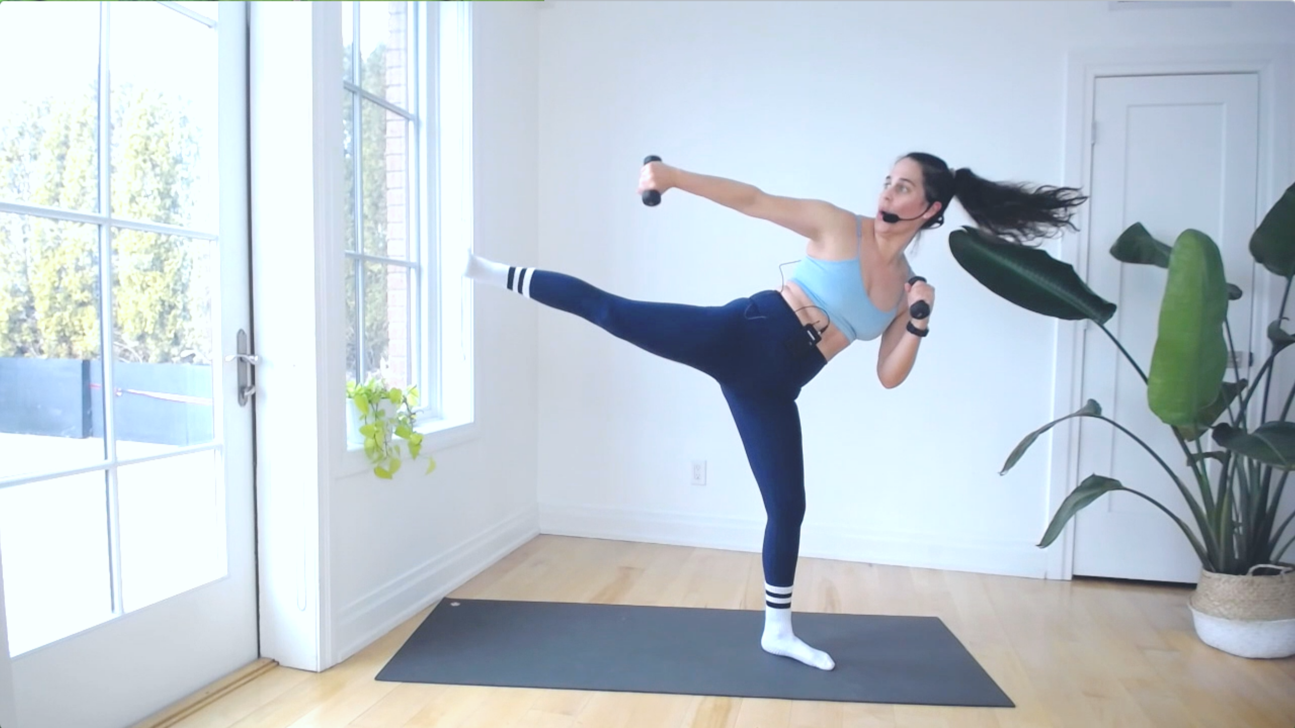 EXTENDED CARDIO ARMS